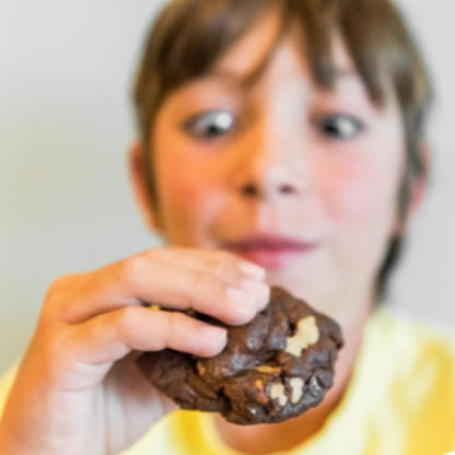 Original Size Double Chocolate Chip with Walnuts